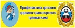 ЮРГПУ(НПИ) Профилактика дорожно-транспортных проишествий